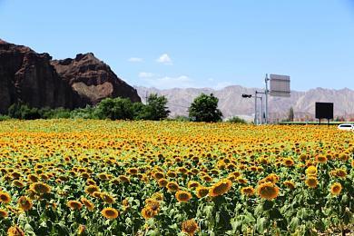 《漫威蜘蛛侠：迈尔斯》要登陆PC？开发商否认